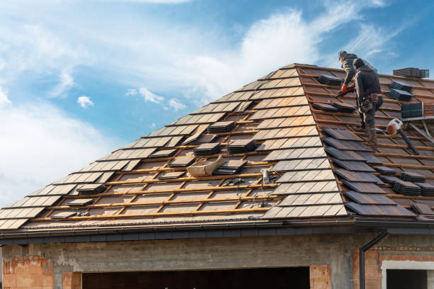 Best Roof Leak Repair  in Oquawka, IL